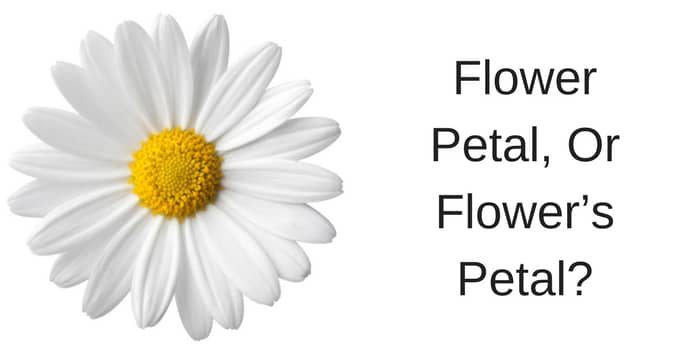 Flower Petal, Or Flower’s Petal?