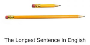 The Longest Sentence In English   The Longest Sentence In English 300x150 