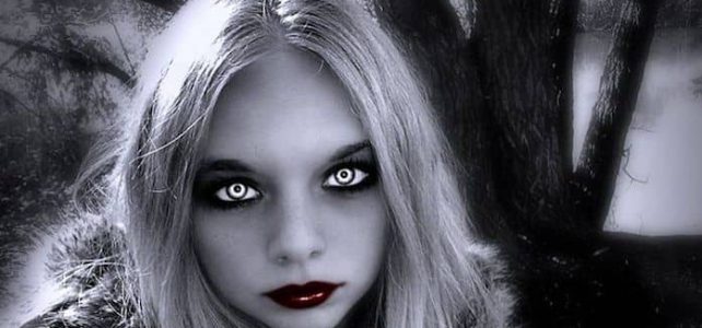 The McDonald’s Vampire The McDonald’s Vampire